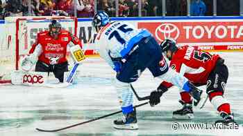 Hudacek führt Haie zum zweiten Sieg