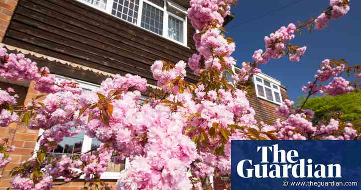 UK mortgages: warning over big fees as homebuying season arrives