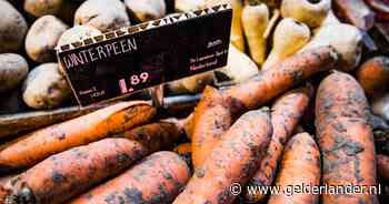 Waarom excelleert Denemarken in biologisch eten, maar blijft Nederland ver achter? ‘Wij zien het niet als exotisch’