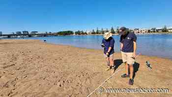 Plastic afval langs Australische kust met ruim een derde afgenomen