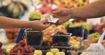 Ligt daar mijn feesterige buurman in een winkel achter de aardbeien?