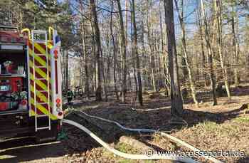 FW Pforzheim: Waldbrand im Bereich Hagenschieß - Eichwald