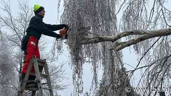 Less than 70,000 customers remain without power after Ontario ice storms: Hydro One