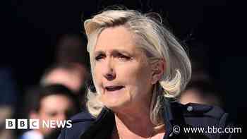 Marine Le Pen calls embezzlement conviction a 'witch hunt'