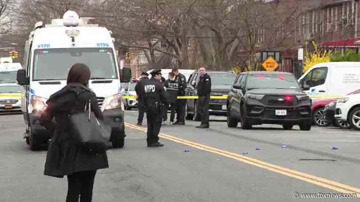 Meat cleaver-wielding man stabs young girls in bloody NYC attack as 11-year-old calls 911: police