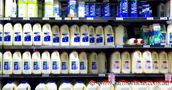 Good news for dairy farmers as Food and Grocery Code is now mandatory
