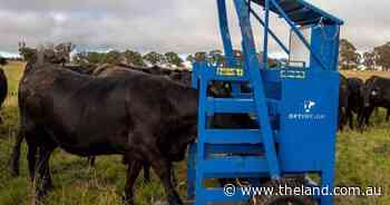 Northern producers to learn of ag tech livestock solutions at new site, field day