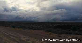 Seven-day rainfall totals: Storms bring widespread rain, strong winds