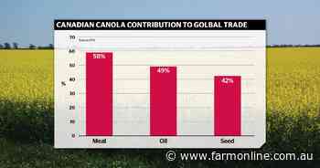 Why Trump's tariffs are good news for Canadian and Aussie canola growers