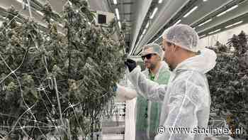 Alleen nog legale wiet in Almeerse shops: 'Eindelijk is het zover'
