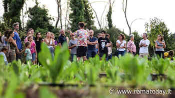 Dentro Roma ci sono dei grandi orti di comunità che danno cibo a 130 famiglie