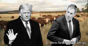 Trump's tariffs to most heavily impact agriculture: Treasury analysis