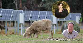 Environmental groups call for 100pc renewable future in landmark report