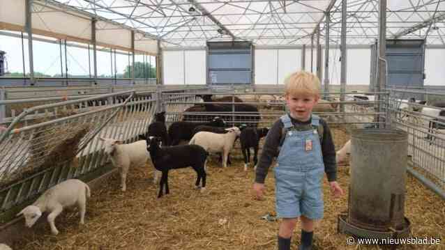 “Op vraag van sterrenchef geprobeerd en heel lekker:” ‘t Zwarthof lanceert nieuwe tapasschotel met lam en nog gedroogd mangalicaspek op paasmaandag