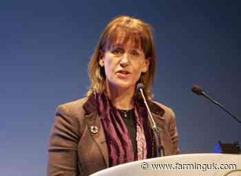 Defra appoints Minette Batters to lead farm profitability review