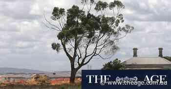 My suburban life was one girls dreamed of, but I gave it up for boys, books and make-up