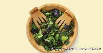 Making genetically engineered food palatable