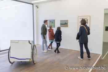 Stad zoekt werken uit privécollecties voor tentoonstelling rond kunstenaar Roger Raveel
