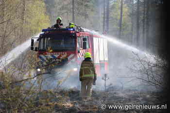 Brandweer heeft handen vol aan grote bosbrand