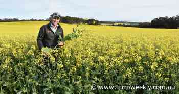 Trump's tariffs causing tension for local grain growers facing uncertainty