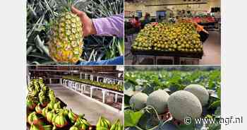 "Importtarieven beïnvloeden liquiditeit en kan AGF uit schap prijzen"