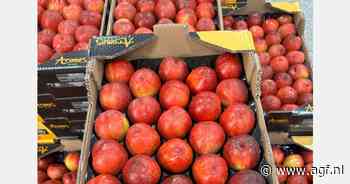 "Gestart met eerste Spaanse nectarines, door regenval wachten op volumes"