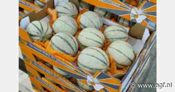 "Vraag naar Marokkaanse meloenen overtreft aanbod"