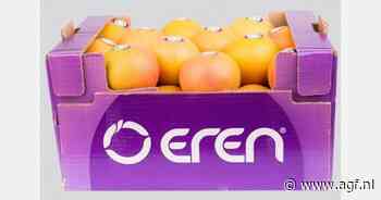 Turks citrusseizoen bemoeilijkt door vorst