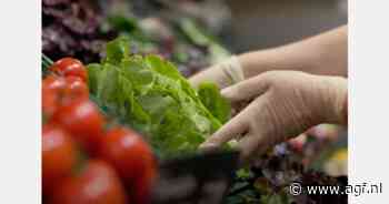 "Gezondheid leveren met Nederlandse groenten"