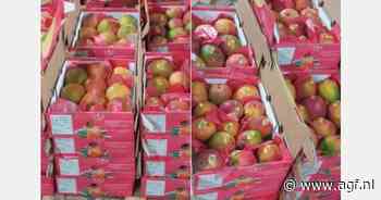 "Malinese mangoseizoen verloopt met goede vraag"