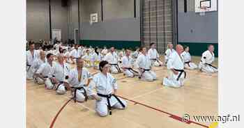 Lizette Helmer gaat 24 uur vechten tegen dementie