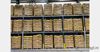 "Na twee jaar met skyhigh aardappelprijzen eindelijk meer stabiliteit in de markt"