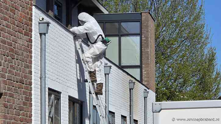 Onkruidbrander zette schuur in lichterlaaie: ‘Asbestplaten ontploften’