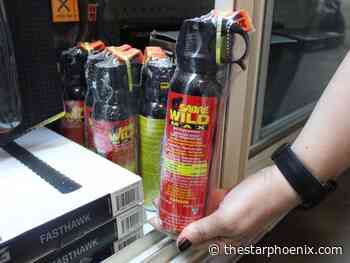 Bear spray and bus safety: Saskatoon councillors weigh in on transit report