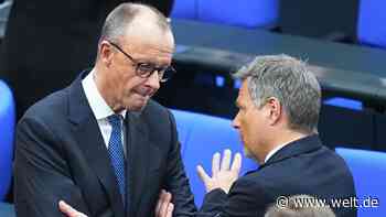 „Das ist lächerlich“, sagt Habeck über Musks Null-Zoll-Vorschlag – Merz fordert Steuersenkungen