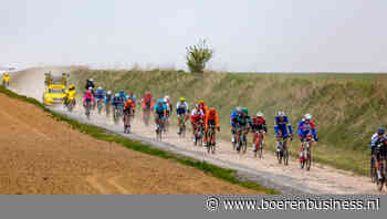 Frankrijk trapt hardst op de rem in DCA Potato Index