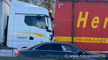 Ongeval op E313 in Tessenderlo in file van kettingbotsing in Oevel