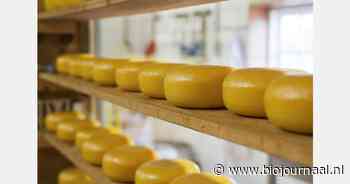 Het Hinkelspel maakte de transitie van commune naar coöperatie in de biologische kaas