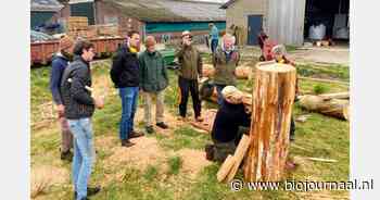 Imkers leren boomimkeren bij de Beersche Hoeve