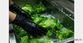 Campagne 'Safe2Eat2025' over voedselveiligheid