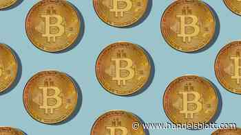 Bitcoin: Kryptowährungen büßen fast alle Gewinne seit Trumps Wiederwahl ein