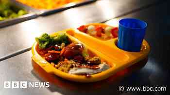 Free school meals to continue during holidays