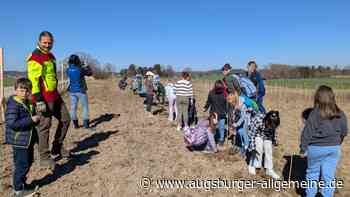 Bank lässt Landsberger Kinder in Finning Bäume pflanzen