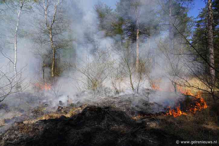 Zeer grote bosbrand op heide laait opnieuw op