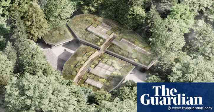Bid to build Europe’s first research station on Atlantic temperate rainforest in Cornwall