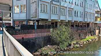 Neues Nest an der Nagold: Passanten bewerfen brütenden Calwer Schwan mit Müll