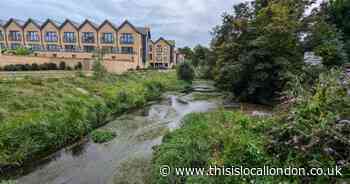 Fears for 'environmental disaster' after second oil spill on River Wandle in 2 months