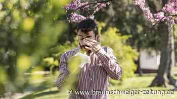 Mittel gegen Heuschnupfen: Diese Tabletten sollten Sie meiden