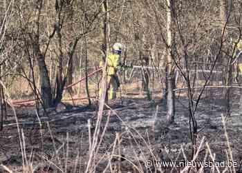 Brandweer rukt uit voor heidebrand aan vliegveld van Zwartberg