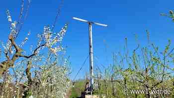 Obstbauer setzt auf Windräder als Frostschutz